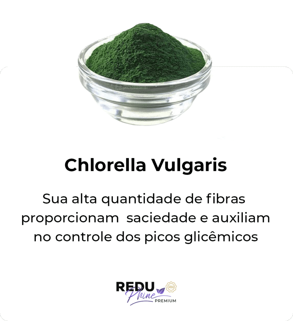 i-Chlorella-Vulgaris.png