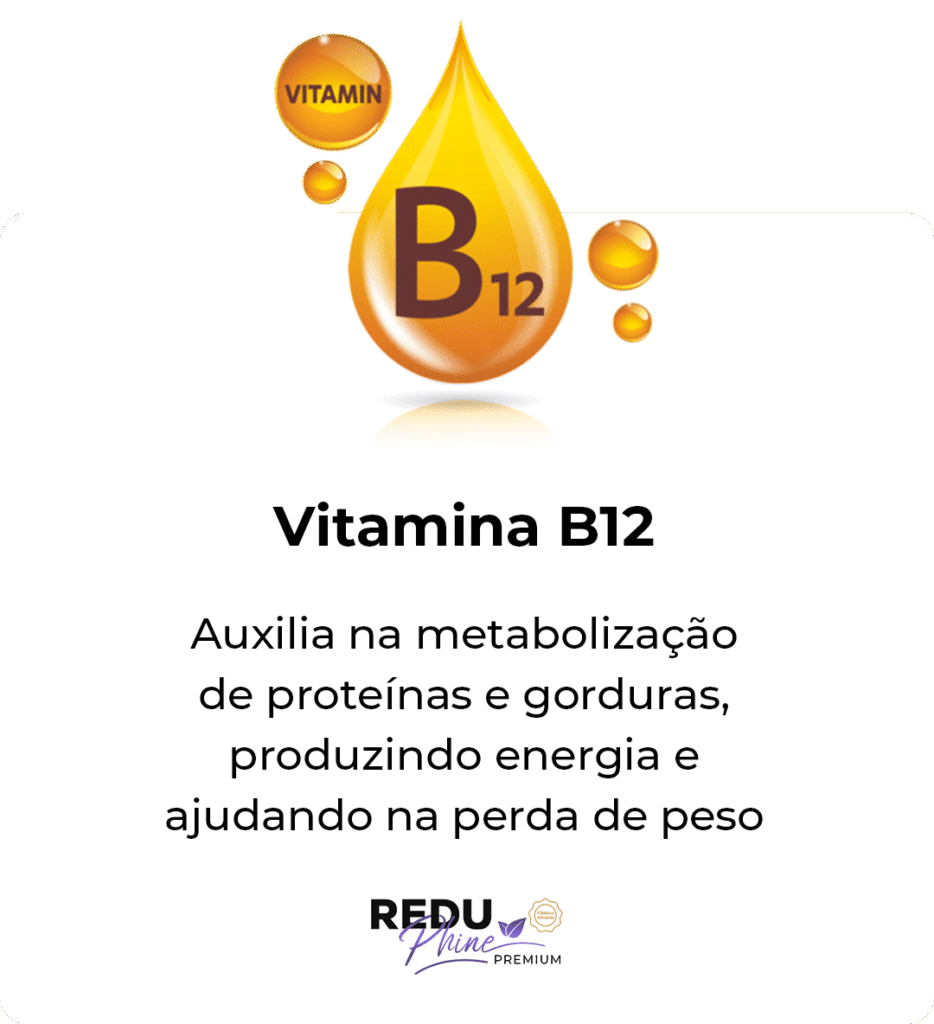 i-Vitamina-b12.png